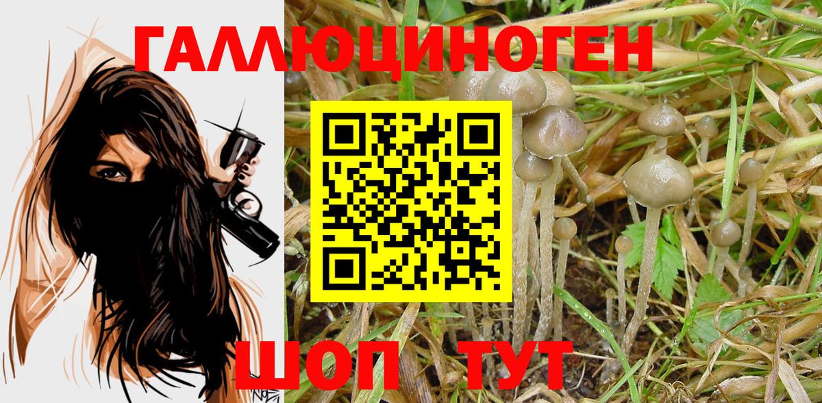 Псилоцибиновые грибы Cubensis Сердобск