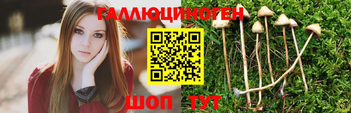 Псилоцибиновые грибы Psilocybine cubensis  Вход с VPN  Сердобск  Галлюциногенные грибы Psilocybe 